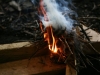 Bushcraft