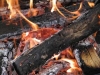 Campfire