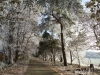 Campsite