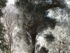 Campsite