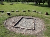 Campfire Circle
