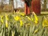 Hadlow Fields