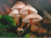 Scan_0024